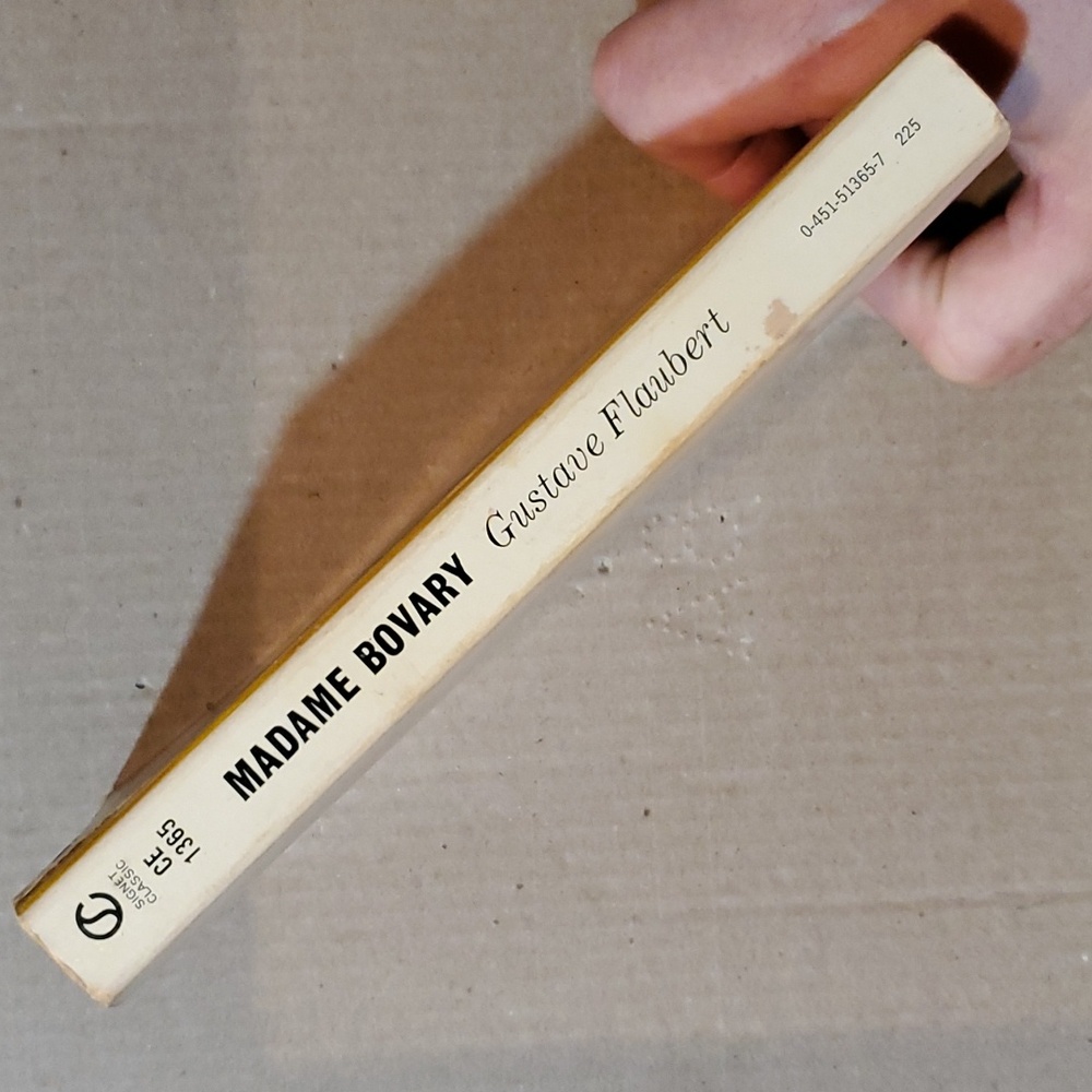 🇫🇷 Madame Bovary Gustave Flaubert paperback book - Picture 3 of 11